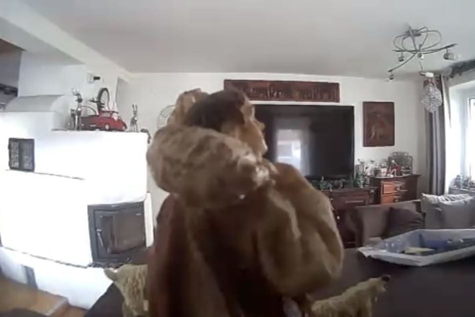 Dieses Bild einer privaten Überwachungskamera löste den Polizeieinsatz aus.