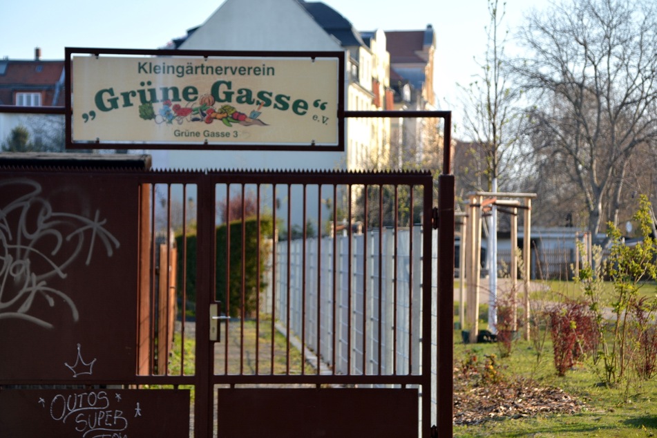 Hans-Dieter Speike ist Besitzer der abgebrannten Laube - und gleichzeitig Vorsitzender des Kleingartenvereins "Grüne Gasse".