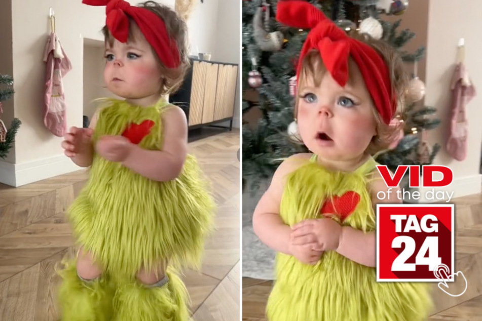 viral videos: Viral Video of the Day for December 24, 2023: Adorable baby Grinch takes over TikTok!
