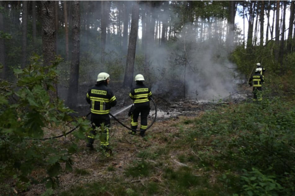 In der Altmark brannte ein Waldstück.