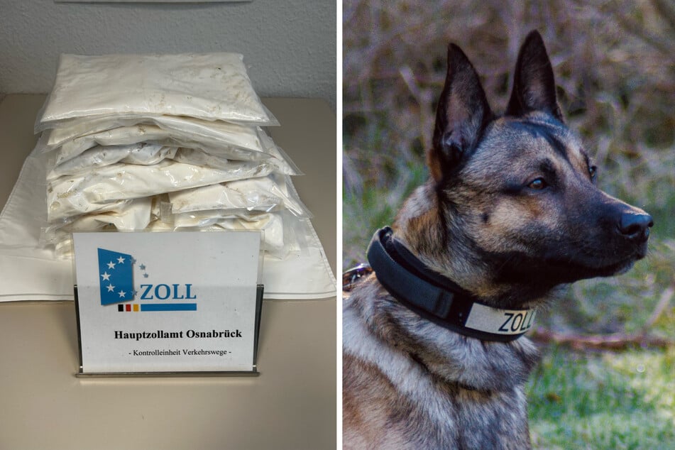 Drogenschmugglerin hat keine Chance gegen die Nase von "Cracker"