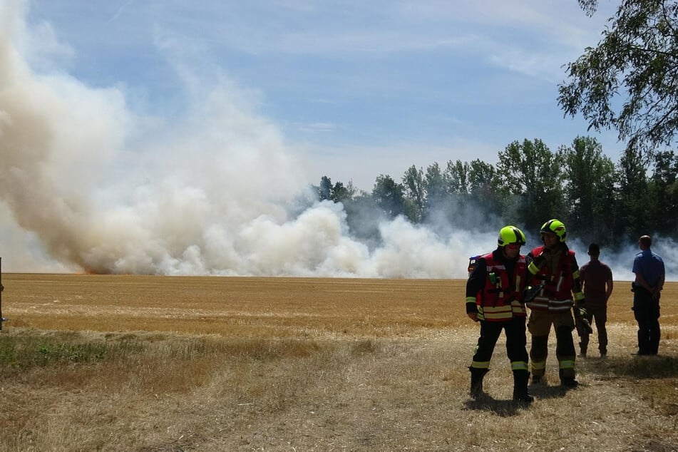 Zahlreiche Feuerwehren sind vor Ort.