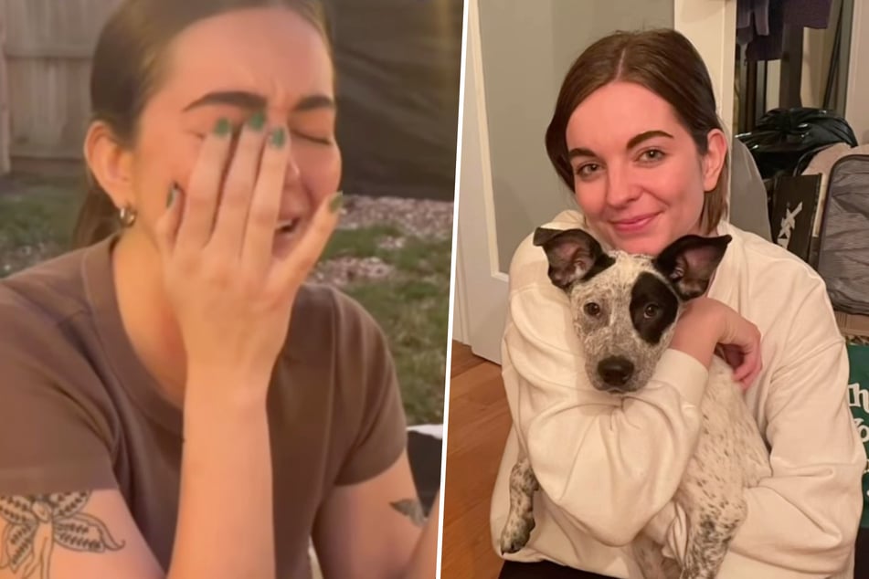 Frau holt Hund aus Tierheim: Jahre später traut sie ihren Augen nicht, was ihr Vor-Besitzer schicken