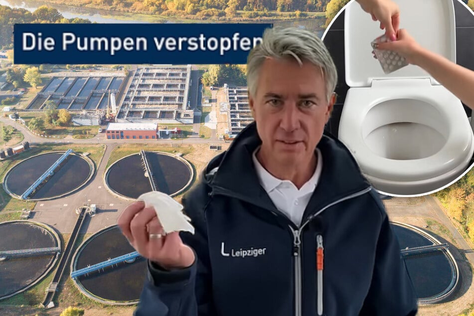 Leipzig: Zu viele Feuchttücher und Ratten: Diese Klärwerk-Kampagne ist (hoffentlich) kein Griff ins Klo
