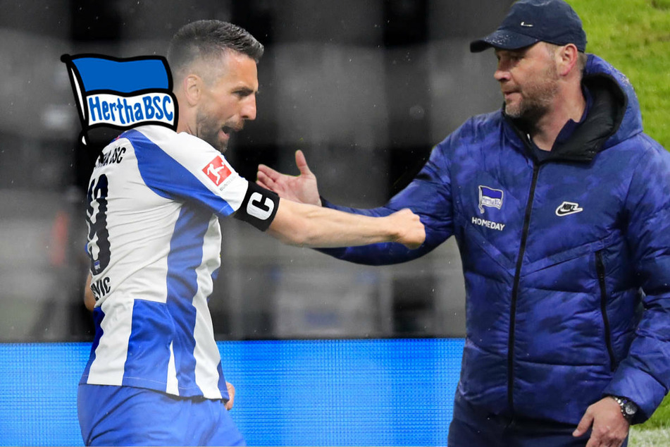 Hertha BSC will nicht den Schalke-Weg gehen: Keine Rückkehr von Ibisevic