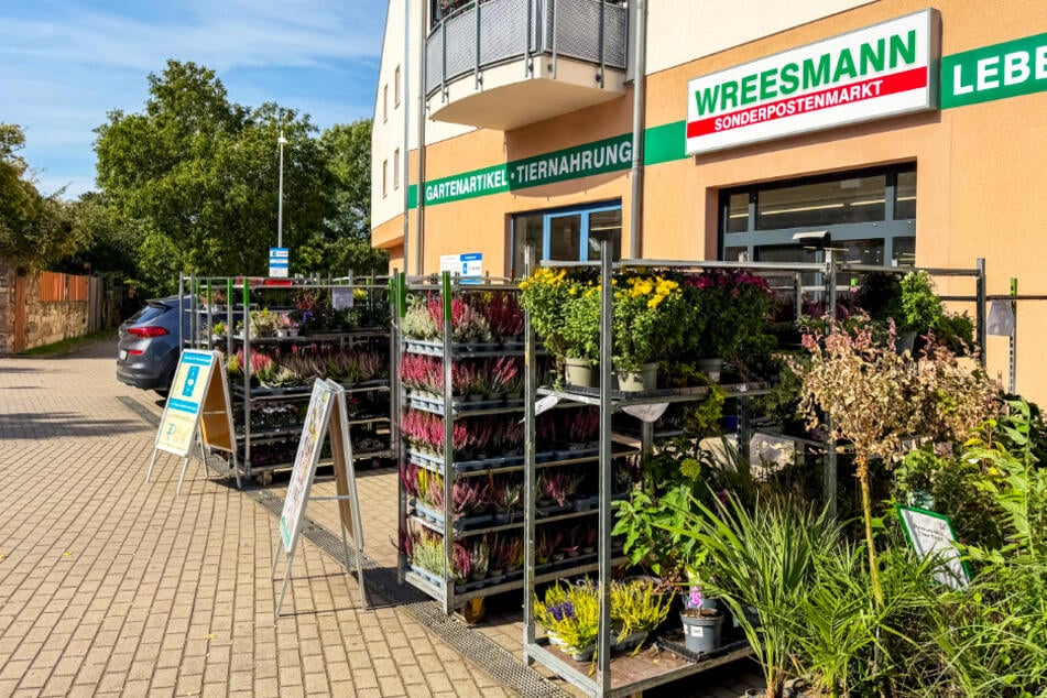 Krass, was Wreesmann am Donnerstag (22.10.) im Angebot hat