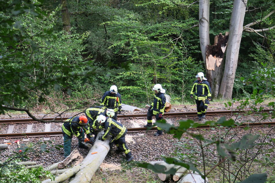 Die Feuerwehr entfernte den umgestürzten Baum von der Gleisanlage.