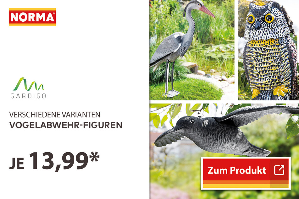 Vogelabwehr-Figuren für je 13,99 Euro