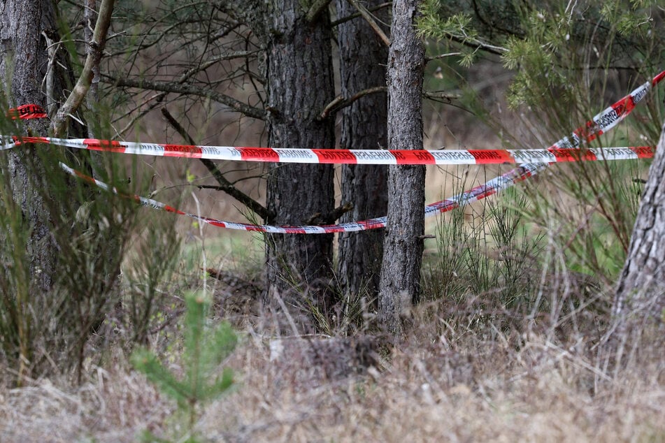 Leiche im Wald entdeckt: Vermisster Senior nach fast drei Jahren identifiziert