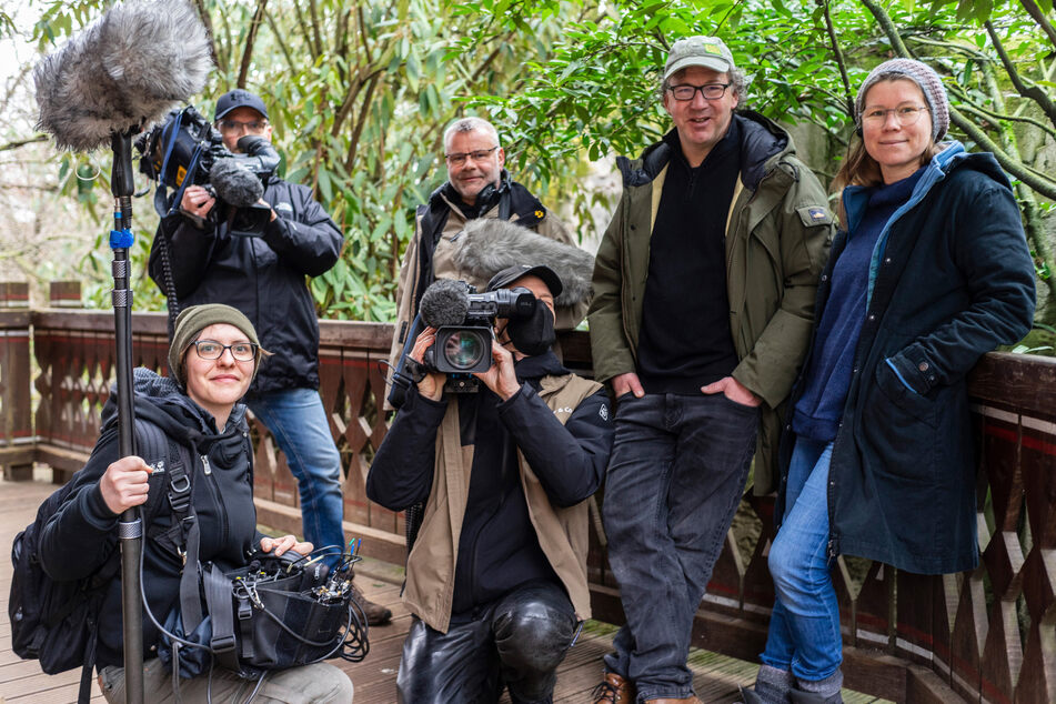 Anders als sonst stehen diesmal auch sie im Fokus: Das Kamerateam von "Elefant, Tiger &amp; Co.", auch bekannt als die "Glasaugenspitzohre".