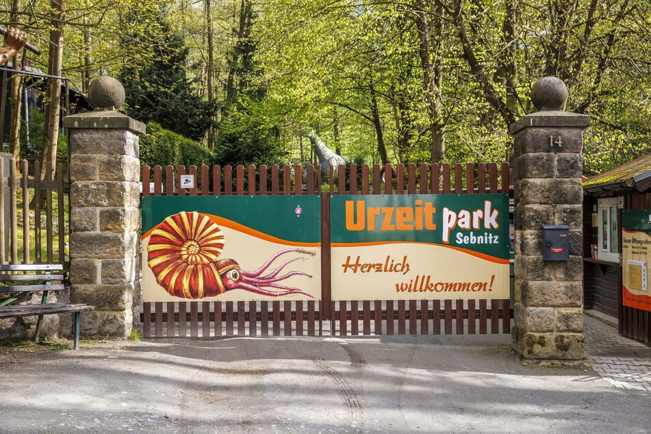 Im Jahr 1996 öffnete der Urzeitpark Sebnitz erstmals seine Tore für Besucher.