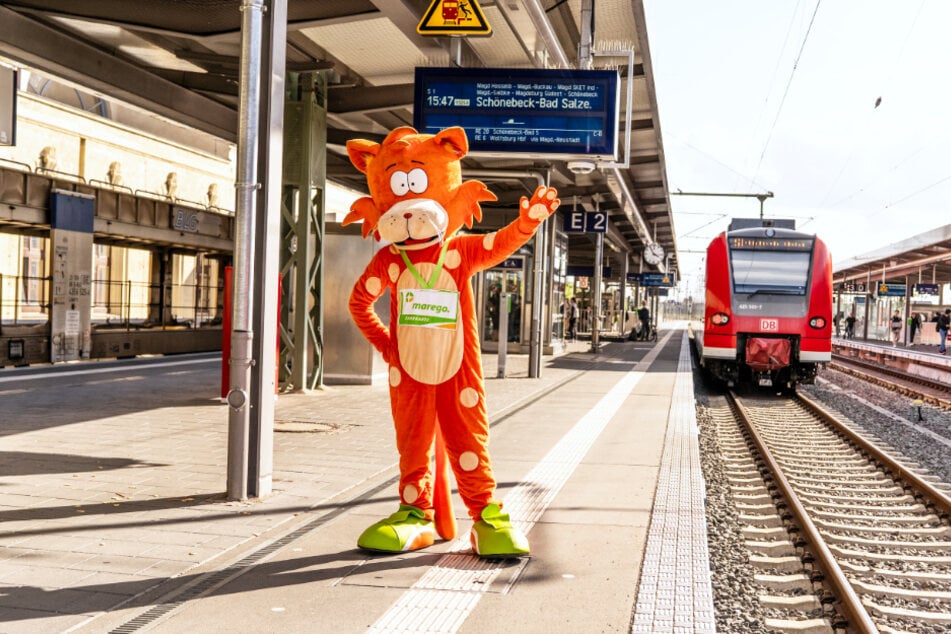 marego sagt Danke und schenkt Abo-Kunden kostenlose Mitnahme für Kinder und Erwachsene.