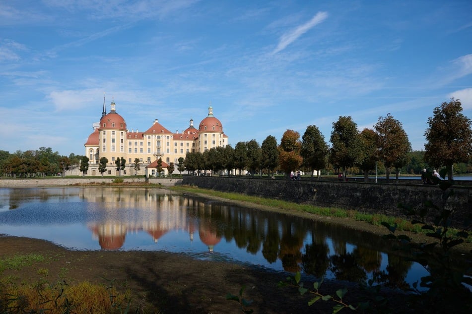 Blick auf den Schlossteich am Schloss Moritzburg. Das traditionelle Abfischen des Schlossteiches und das Fisch- und Waldfest stehen bevor.