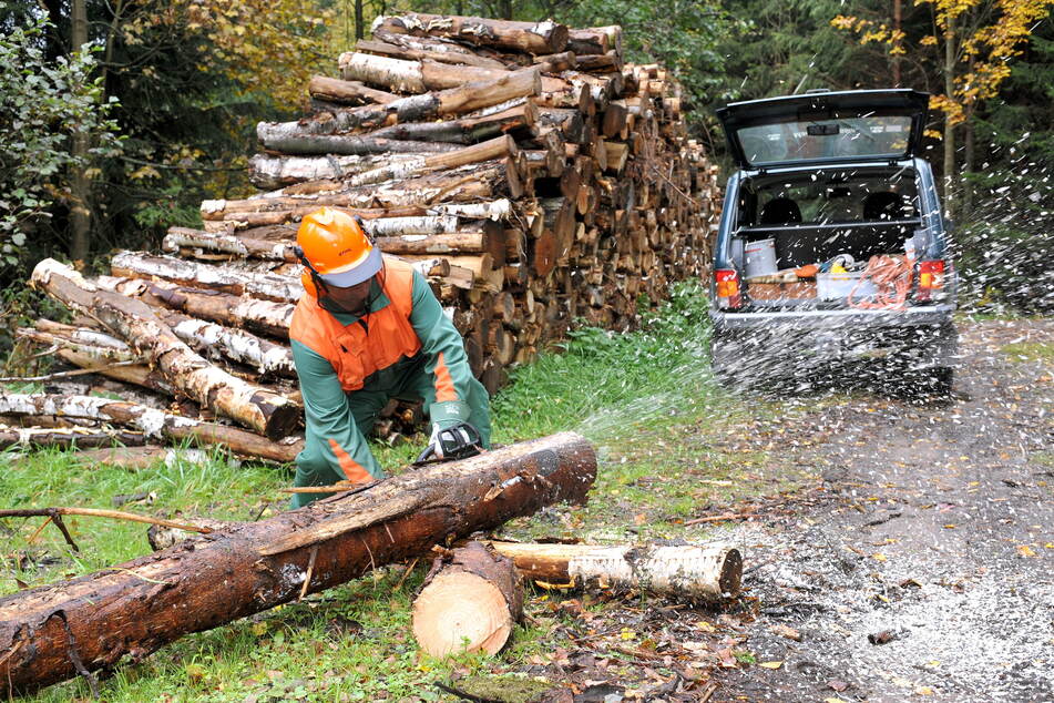 Mit dem Brennholz-Schein im Wald selbst zur Säge greifen, ist schon seit Monaten nicht mehr möglich. Die Nachfrage ist zu groß.