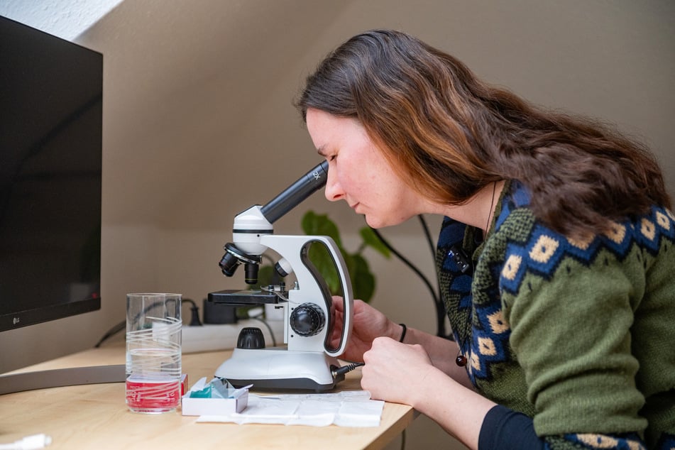 Die Stadttauben-Initiative hat einige Mikroskope, um eigenständig und schnellstmöglich die Abstriche der Tauben zu untersuchen.