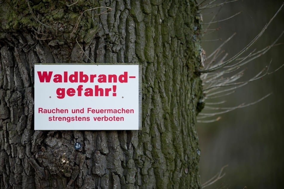Die Waldbrandgefahr im Vogtland ist aktuell hoch. Rauchen in Wäldern ist strengstens verboten.