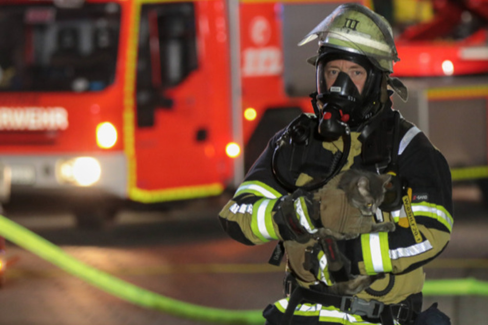 Die Kameraden der Feuerwehr konnten einen Mann und drei Katzen vor den Flammen retten.