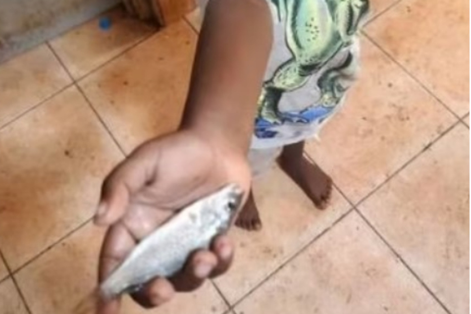 Ein Kind zeigt einen aus der Luft aufgefangenen Fisch.