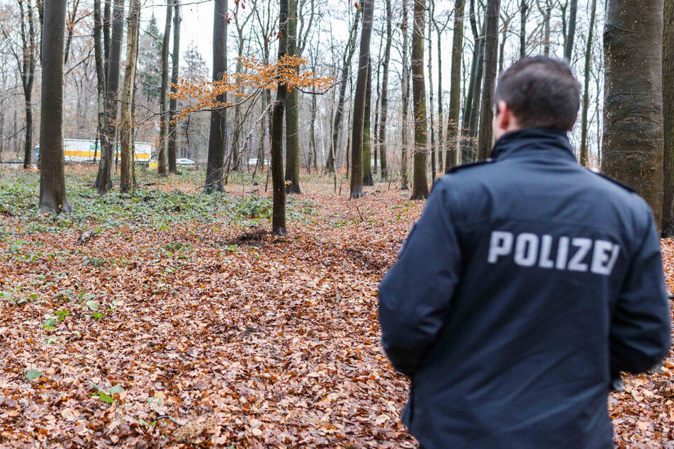 Der letzte Hinweis über den Verbleib der beiden Mädchen war ein Waldstück bei Schermen. (Symbolbild)