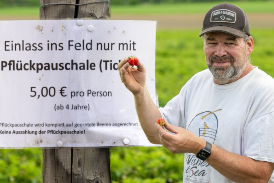 Gegen die Dauer-Nascher! Jetzt kosten Erdbeerfelder Eintritt