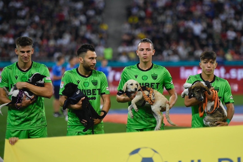 Die Profis von Dynamo Bukarest halten die Hunde beim Betreten des Platzes und präsentieren sie so hoffentlich einem neuen Besitzer. Die Kampagne läuft die komplette Saison.