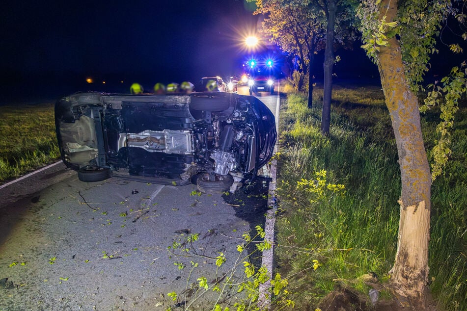 Der Skoda prallte gegen mehrere Bäume.