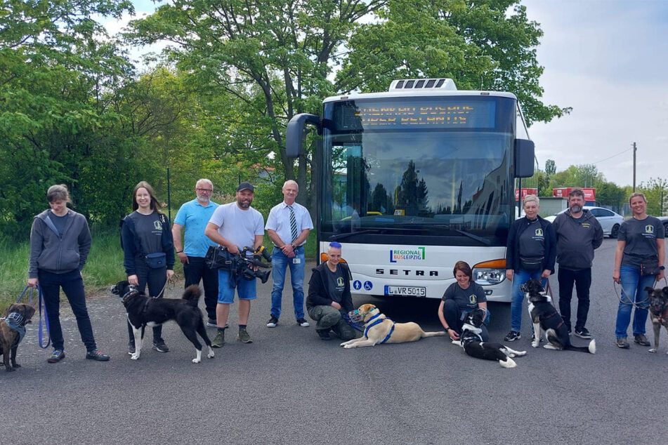 Auf dem Betriebsgelände des Regionalbus Leipzig Zwenkau lernen die Hunde aus dem Tierheim Oelzschau das Busfahren kennen.