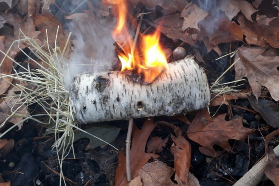 Ein brennendes Stück Birkenholz - entzündet mit einem Pilz.