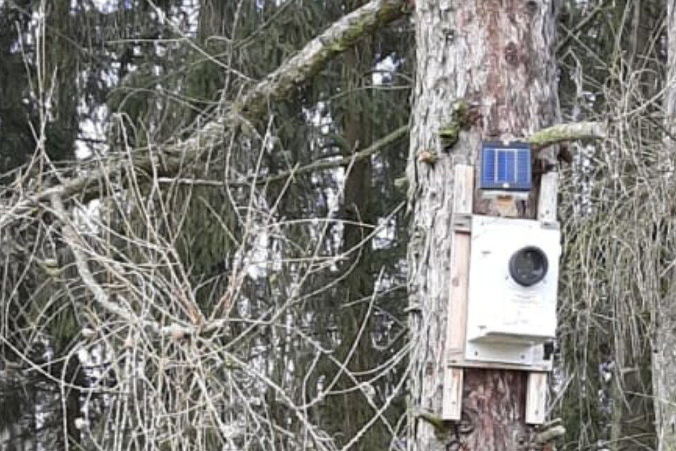 Kamera-ähnliche Box gestohlen: Doch was hat es wirklich mit ihr auf sich?
