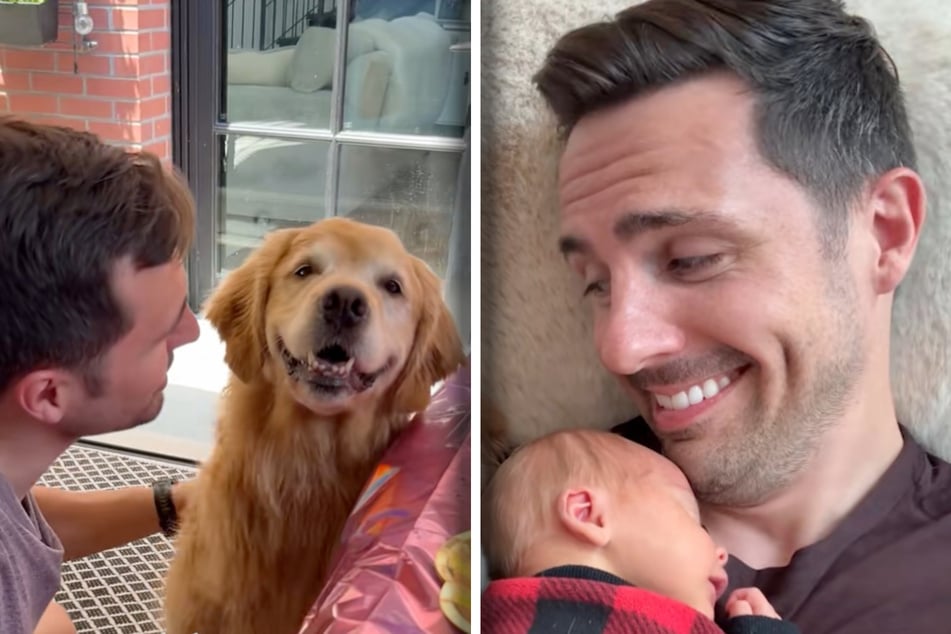Kevin Bubolz sollte mit seinem Neugeborenen, Sohn Connor, eigentlich gut ausgelastet sein. Das Problem: Golden-Retriever-Dame Ellie hat ihren zehnten Geburtstag.