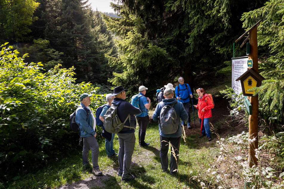 Wandern im Erzgebirge ist beliebt: Hier ist eine Reisegruppe bei Oberwiesenthal zu sehen.