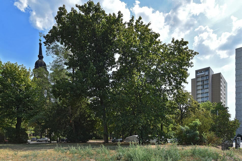 Sexueller Übergriff Auf Mädchen 14 In Dresden Polizei Sucht Täter Und Bittet Um Mithilfe 