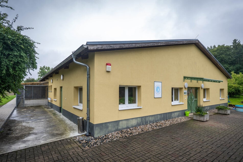Das Tierheim Chemnitz ist auf dem Pfarrhübel zu finden.