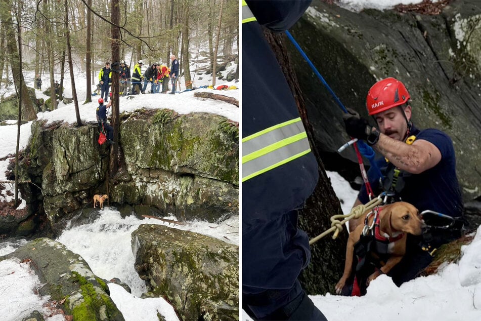 Nur wenige Zentimeter standen zwischen dem 14-jährigen Rüden Rudy und dem aktiven Wasserfall.