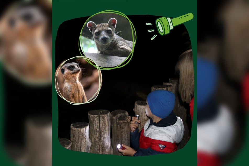 Im November gibt es zwei Termine für die Taschenlampentour, an Nikolaus gibt es eine Taschenlampentour mit Weihnachtsspecial.