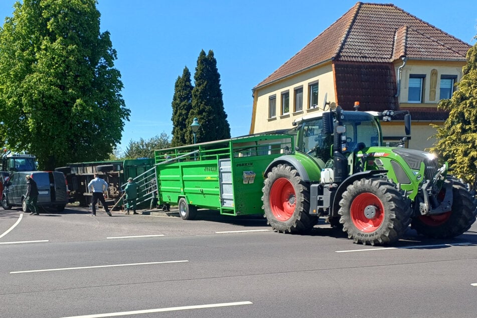 Ein zweiter Transporter brachte die Tiere vom Unfallort.