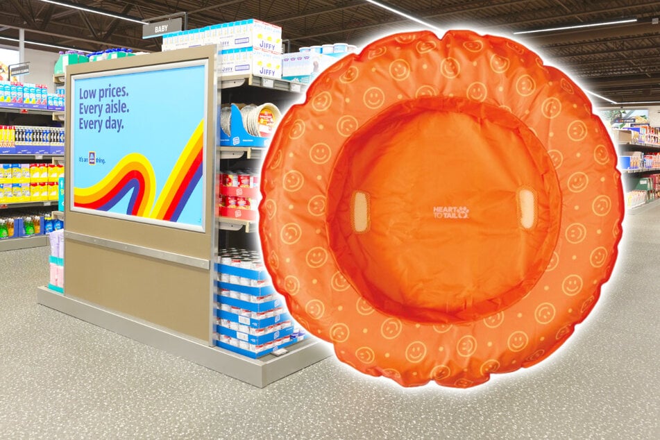 Heads up, pet owners! This pet pool float for just $12.99 is a must-have this summer
