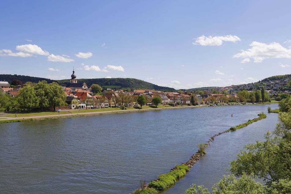 Am Main in Marktheidenfeld wird ein Sack mit einem Kadaver entdeckt. (Archivbild)