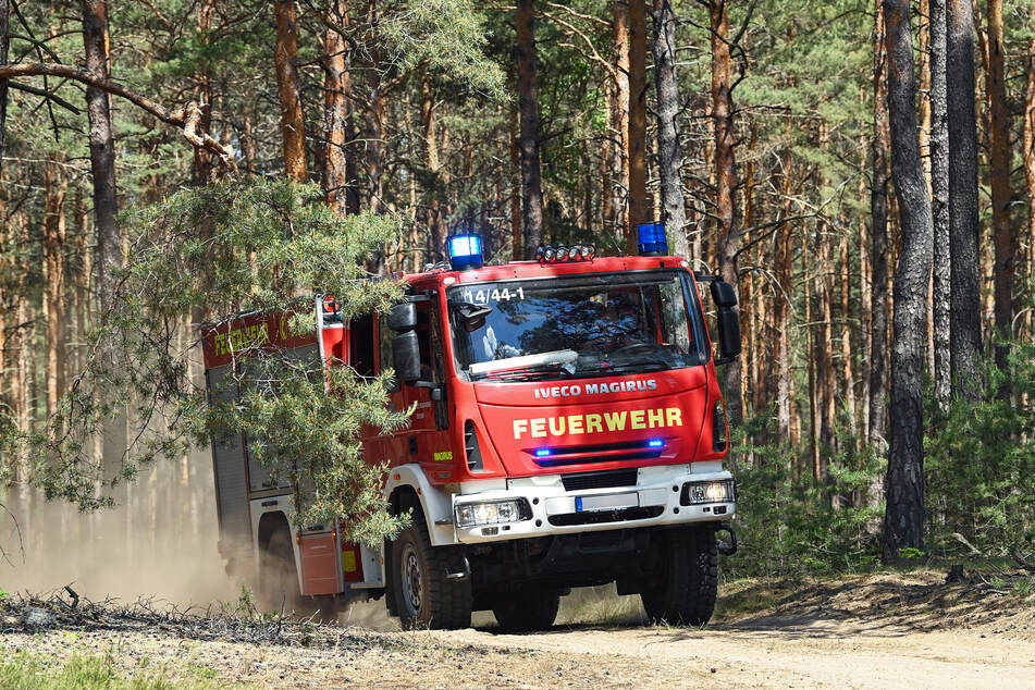 Die Feuerwehr brachte den Waldbrand zwischen Dresden und Hoyerswerda unter Kontrolle. (Symbolbild)