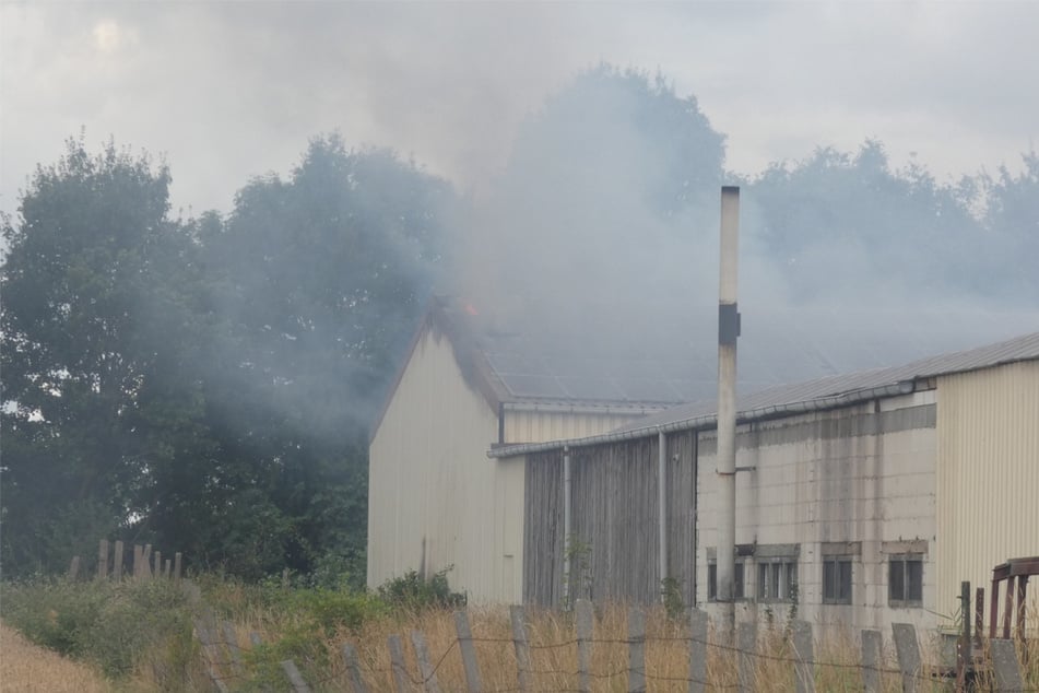 Feuerwehreinsatz in der Altmark: Lagerhalle in Flammen