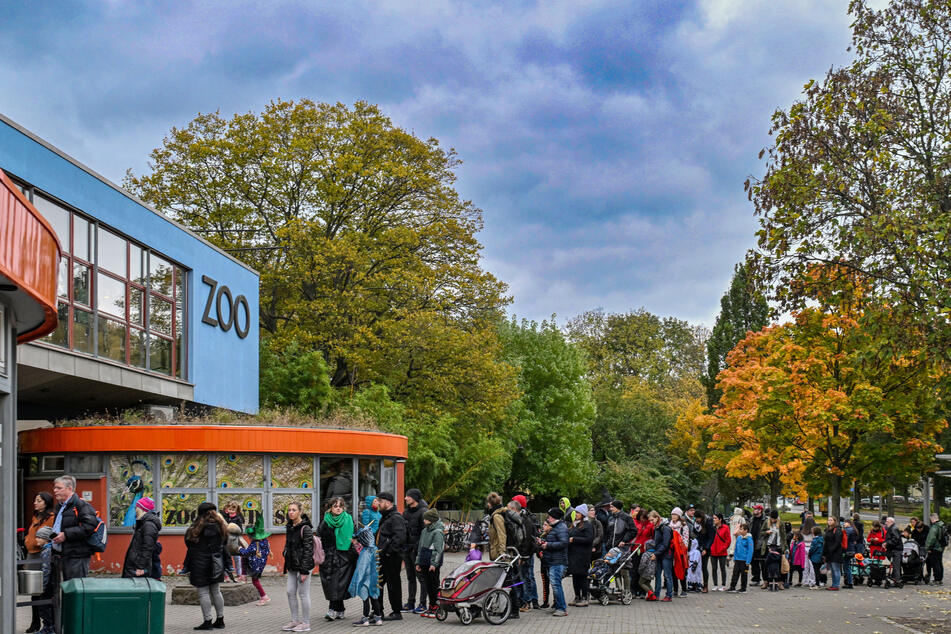 Knapp 8000 Besucher kamen in den Zoo.