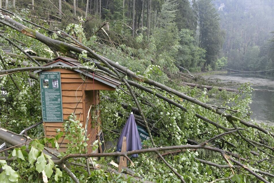 Das Unwetter hat in Rathen eine Schneise der Verwüstung hinterlassen.