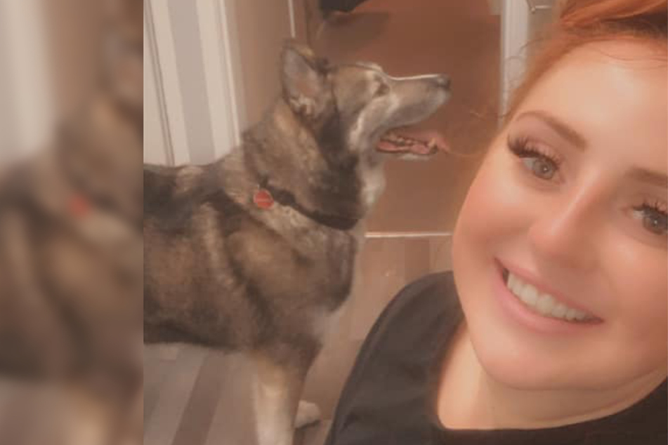28-Jährige wacht morgens auf und findet "riesigen Wolf" neben sich im Bett
