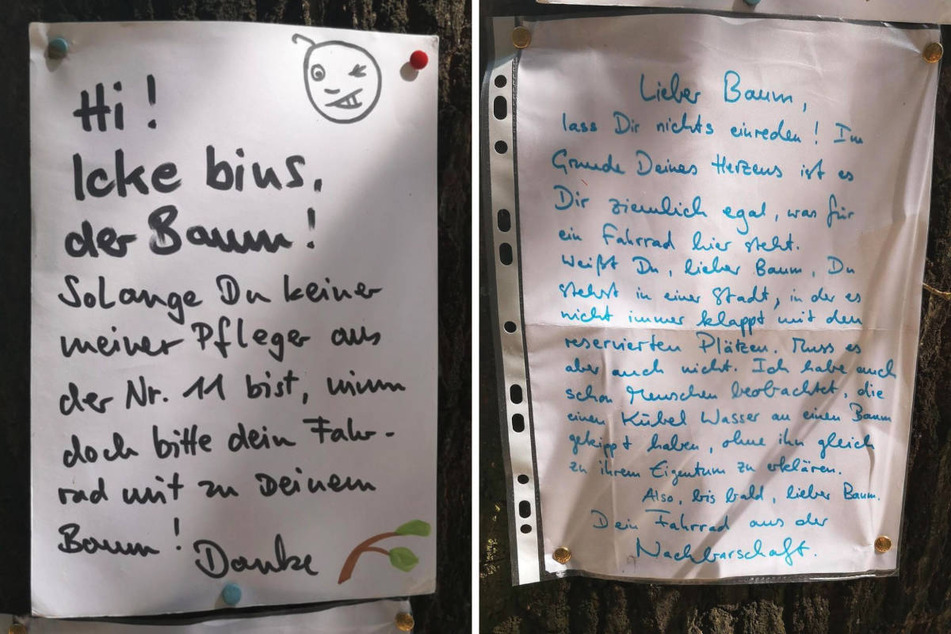 So etwas gibt es wohl auch nur in Berlin: Baum "beschwert" sich bei Radfahrer und der Drahtesel "antwortet".
