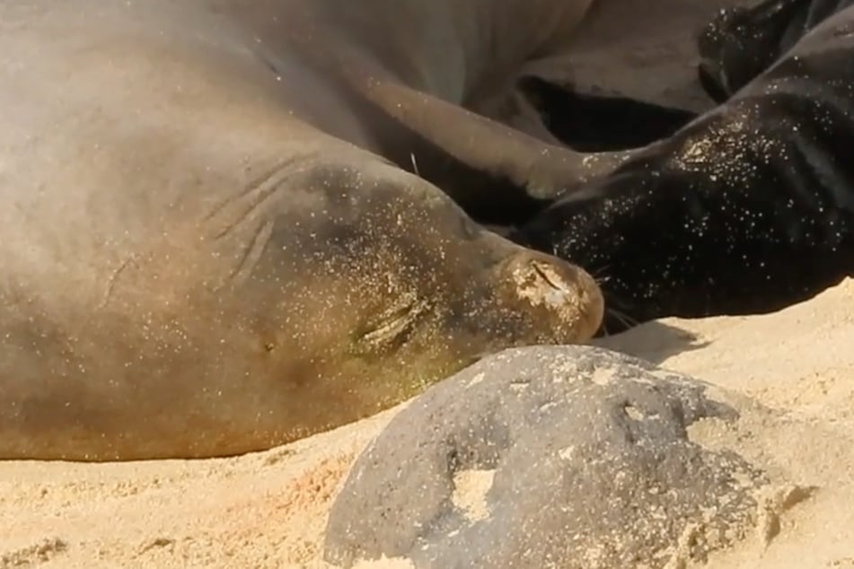 Baby PO5 and mom RN58 resting after birth and rock climbing.