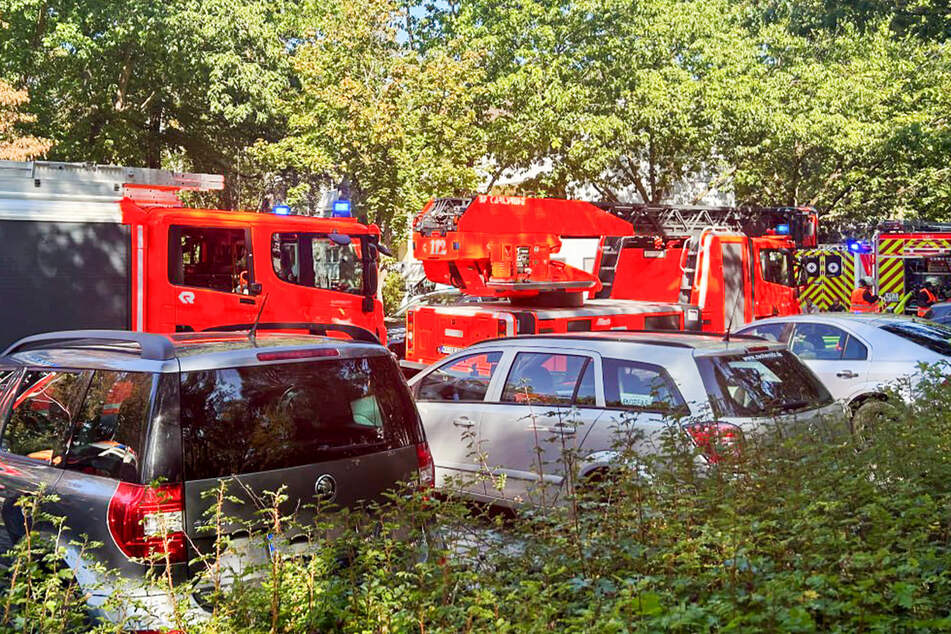 Feuerwehr und Rettungsdienst in der Waldstadt im Einsatz.