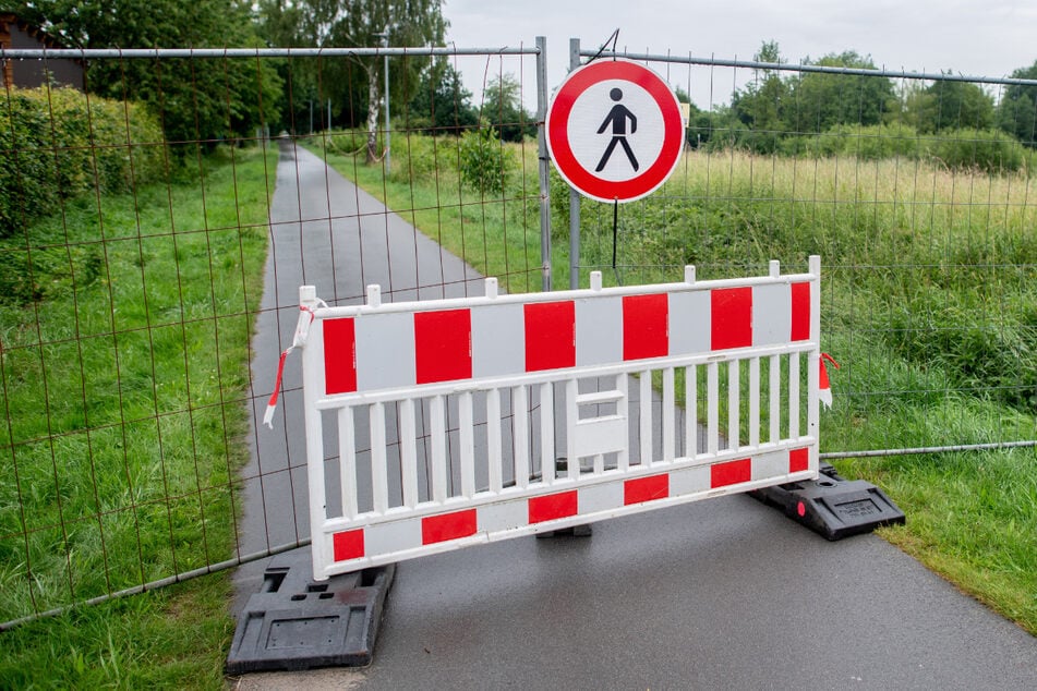 Alles nur fake! Alligator-Video stammt nicht aus Vechta