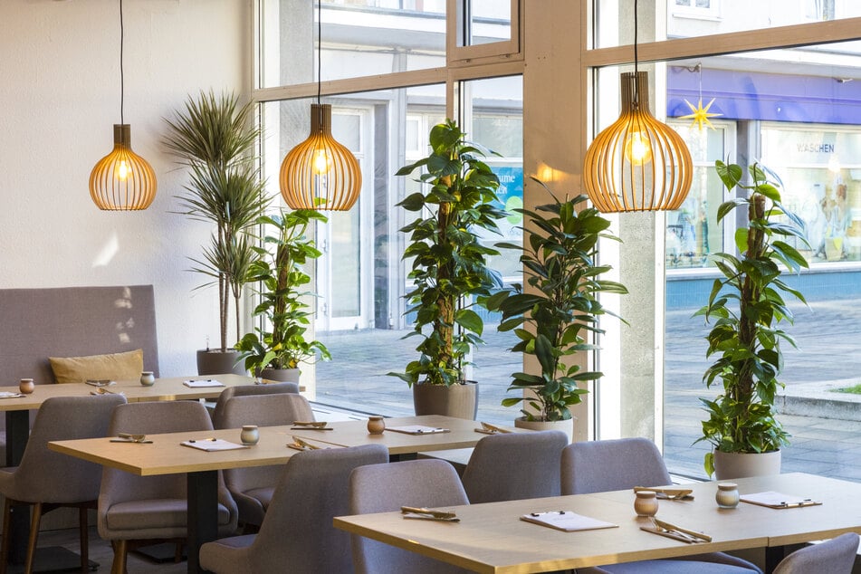Das Lokal kommt modern und durch die großen Glasfassaden hell daher.