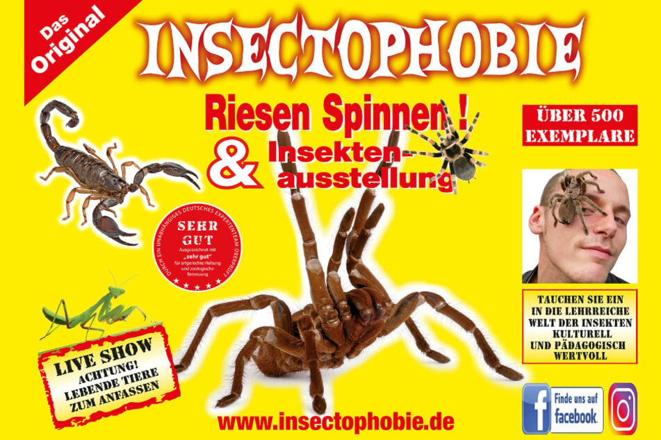 Die größte mobile Riesen-Spinnen- und Insekten-Ausstellung Deutschlands gastiert in CHemnitz.
