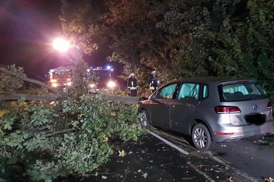 15. Oktober 2021: Ein VW Golf ist zwischen Pomßen und Otterwisch gegen einen umgestürzten Baum gefahren, der zuvor angesägt wurde.